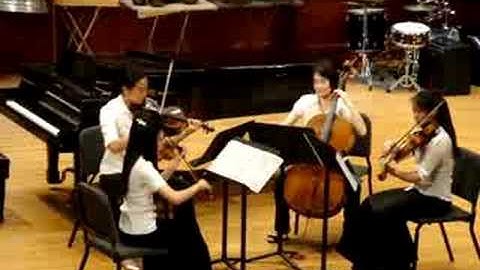 String  Quartet in D Minor, D.810(Death and Maiden) - 1