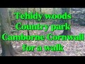 Tehidy woods country park &amp; golf Camborne Cornwall for a walk #cornwall #nature #woodlandwalk 