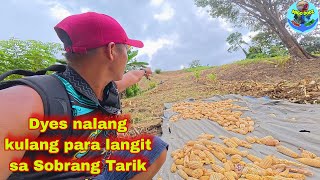 Download Lagu Nahirapan kami sa aming mga dinaanan sa bundok | bukid adventure MP3 Download Lagu Nahirapan kami sa aming mga dinaanan sa bundok | bukid adventure MP3