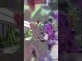 #edit #animation #cat #animationmeme #fypppppppppppppppppppppppppppppppppppppppppppppppp #kinilia