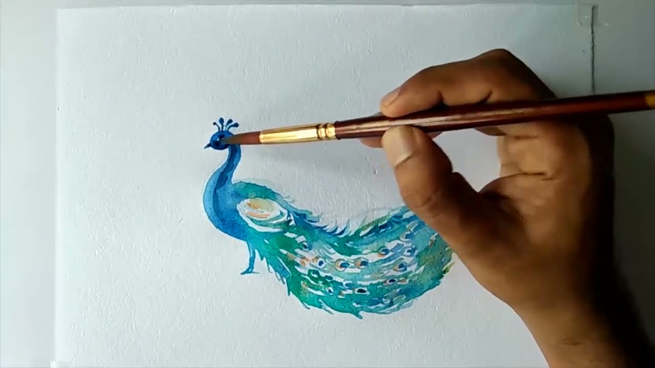 How to draw a peacock Beautiful peacock watercolor painting tutorial