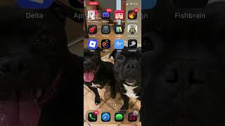 Esign IOS Tutorial AppleJr DNS 2026
