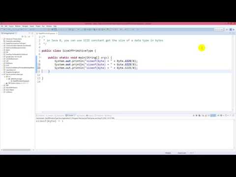 Get Size of Primitive Data Type in Java