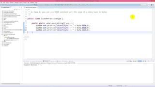 Get Size of Primitive Data Type in Java