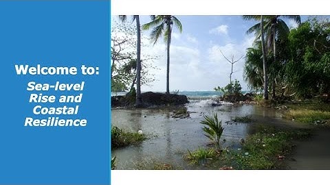 2020 PI-CASC Science Summit: Sea-level Rise and Coastal Resilience Breakout