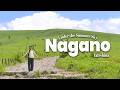 Rural Japan in Summer | Tateshina & the Venus Line — A Slow Highland Drive