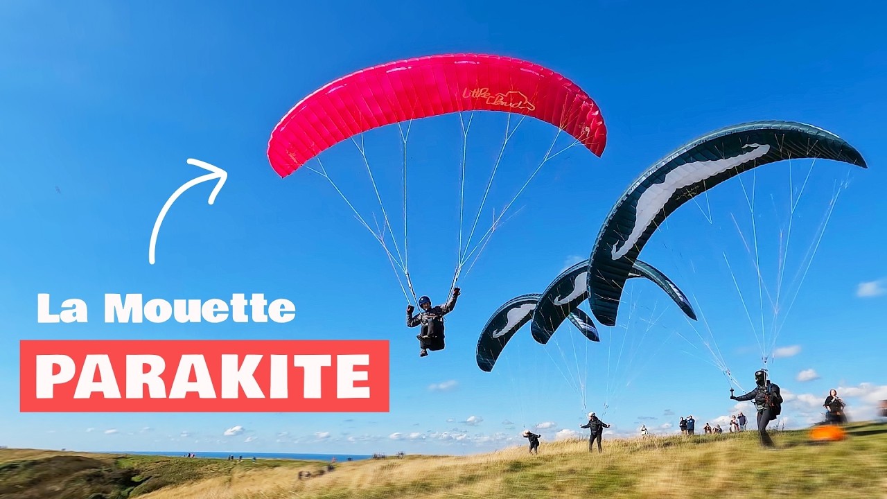 WHAT IS The Point Of PARAKITES - LittleCloud La Mouette Review vs Flare Moustache