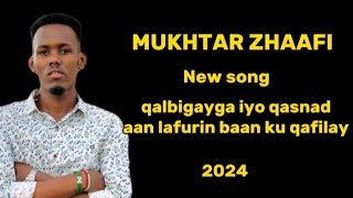 Qalbigayga iyo qasnad aan la furin baan ku qafilay ( mukhtaar zhaafi ) new song 🎵 2024