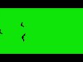 Cartoon Halloween Bats Flying Through The Screen On A Green Screen HD EXCLUSIVE 