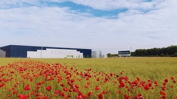 Focus on wellbeing 🌻 Panattoni