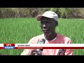 QTV NEWS IN MANDINKA 13.05.26