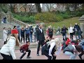 NYC Flash Mob Proposal : Central Park