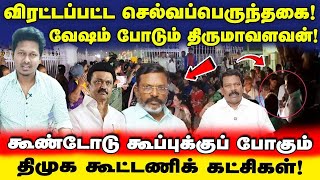 Download Lagu செல்வப்பெருந்தகையை விரட்டிய தொகுதி மக்கள் | வேஷம் போடும் திருமா | கூட்டணி கூண்டோடு காலி | Jeba here MP3