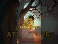 You’re Highly Attractive #stoicism