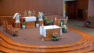 Daily Mass - Saturday
