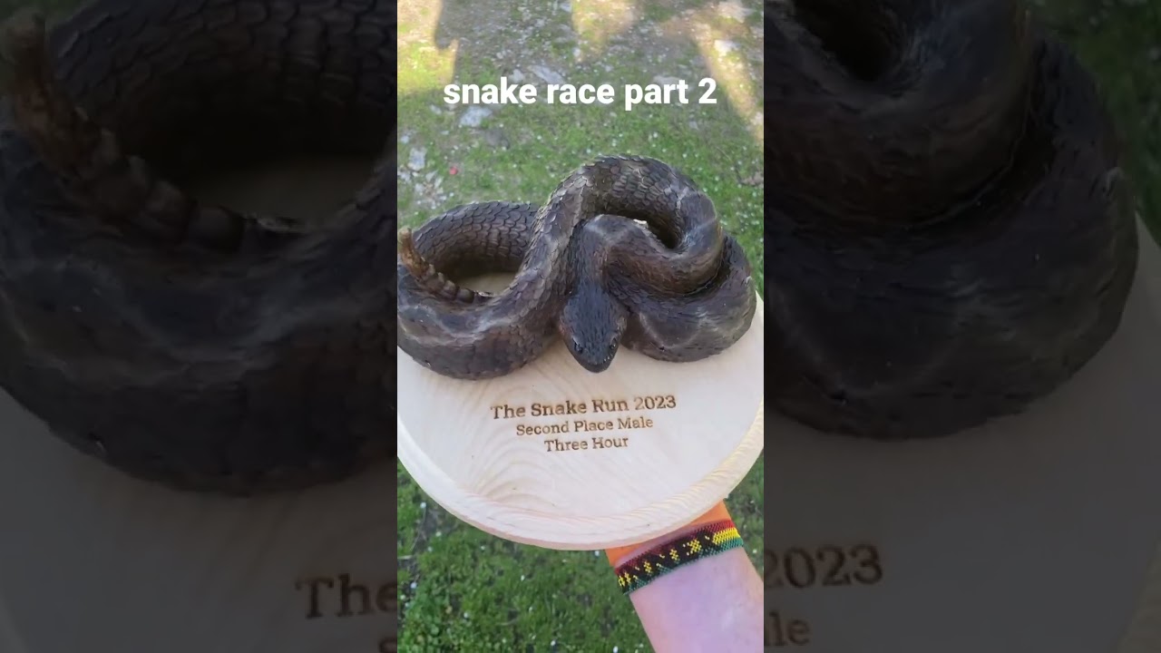 2023 Snake race part 2￼!  