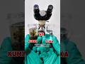 Kuman vs cuka, seberapa ampuh untuk membasmi kuman? #shorts #foryou #microscope #kuman #sains #yt