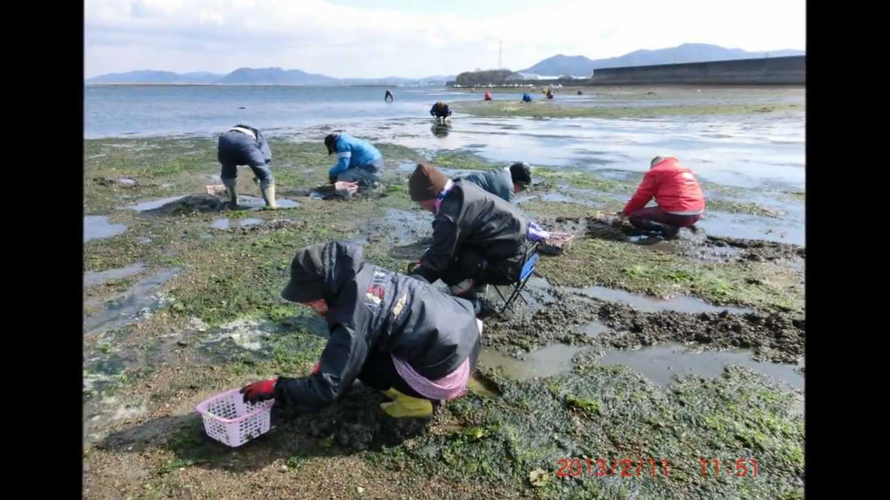 小中山地区海岸 愛知県田原市 21年潮干狩り情報 Amatavi 小中山地区海岸 愛知県田原市 21年潮干狩り情報 Amatavi