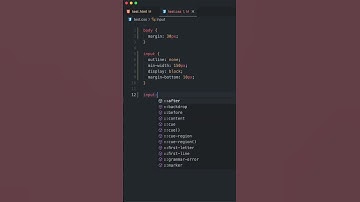 CSS Pseudo Classes Explained - #3 invalid