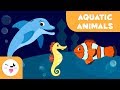 Aquatic animals for kids  vocabulary for kids