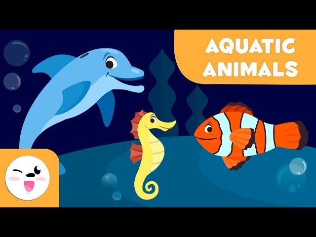 Aquatic animals for kids basic liste…: English ESL video lessons