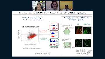 InDepth session: Antagonistic role of histone H1 on the H3K27me3 by Clara Richet-Bourbousse