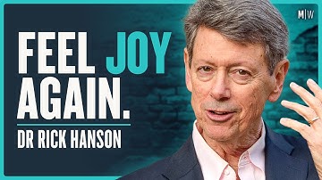 The Science Of Rewiring Your Brain To Be Less Miserable - Dr Rick Hanson