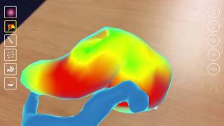 2017 Insimo Display Ar