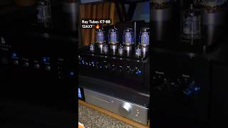 Ray Tubes from Apos STORE 🔥 VS GOLDEN LION (KT-88 12AX7) TUBE BATTLE 😆 GALION TS-120 SERIOUS EDTION!
