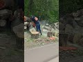 #echo #cs620p #firewood #chainsaw