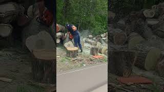 #echo #cs620p #firewood #chainsaw