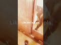 idk like and sub i guess #bfttv just for fun I hope it right