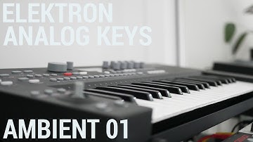 Elektron Analog Keys | Ambient 01