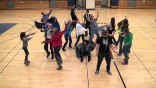 Kendall Harlem Shake