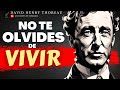 La vida es tu mejor maestra  david henry thoreau