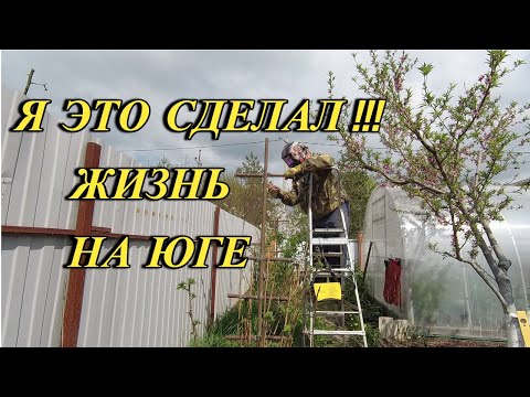 577ч Сделал шпалеры для малины и ежевики/Жизнь на юге после переезда с Урала