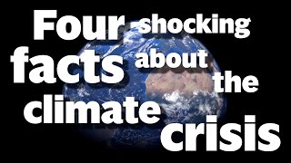 Four shocking facts about the climate crisis. Which fact shocked you the most? 😱