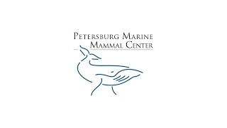Petersburg Fishing Community Roundtable — 7 June 2017