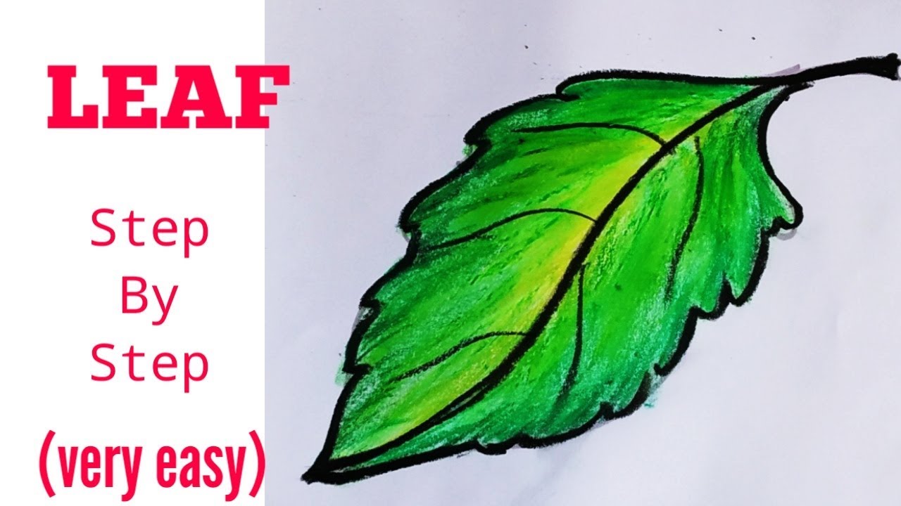 How to draw a leaf // leaf drawing step by step #easydrawing - YouTube