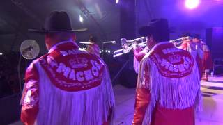 Banda Machos Mi Luna mi Estrella