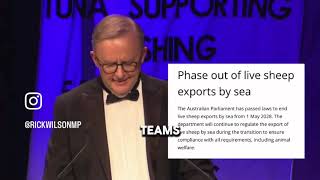 WA Sheep Numbers In Rapid Decline As A Result Of Labor’s Live Export Ban