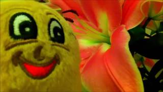 Spuddy Buddy and Tiger Lillies