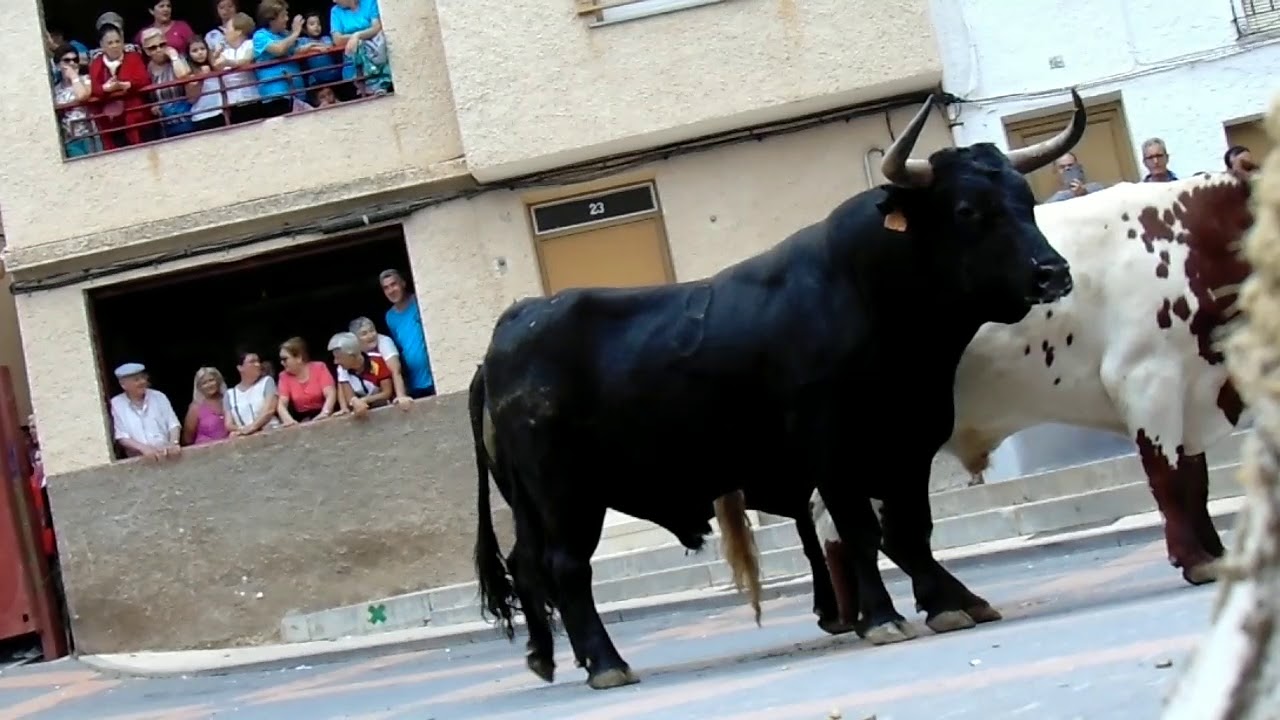 Tercer encierro elche de la sierra 2018