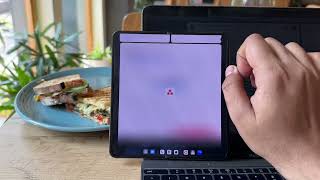 Split—screen multi-tasking on OnePlus Open