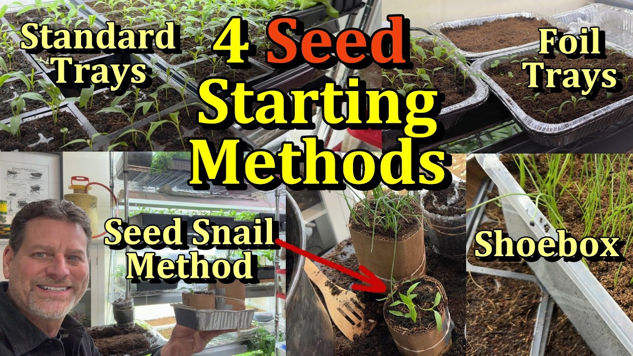 4 Ways to Start Seeds Indoors & Their Pros and Cons (Seed Snail Method is Very Limited!)