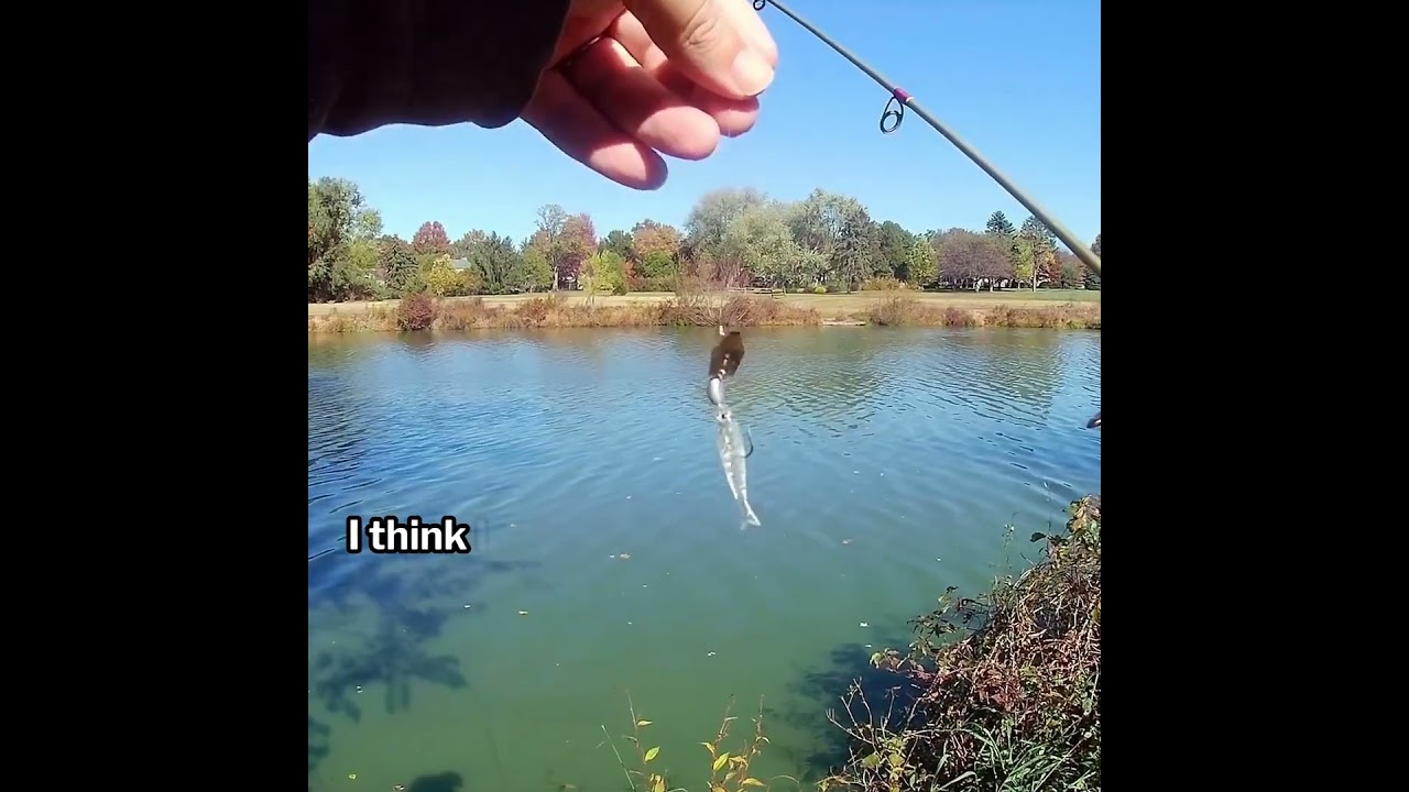 Introducing my newest lure!