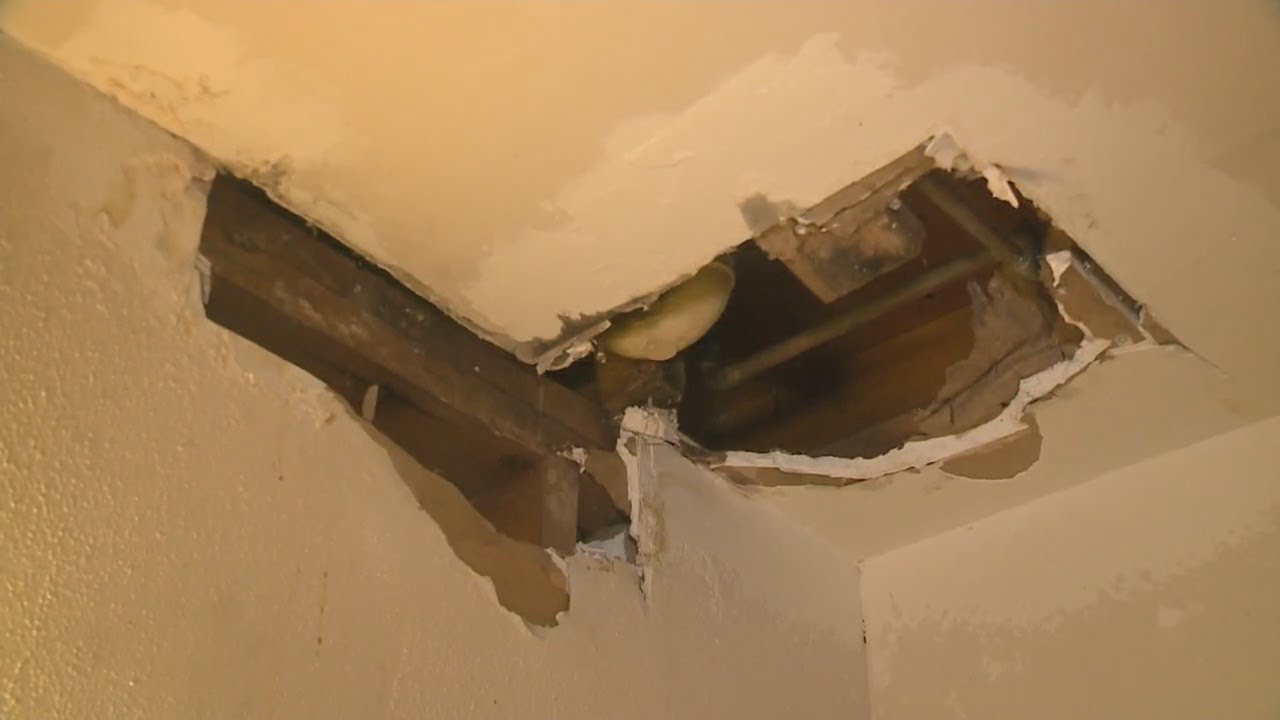 Cahokia Heights problem property has residents dealing with black mold, rats and sitting water