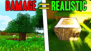 If I Take Damage Minecraft Gets More Realistic | Minecraft Hindi