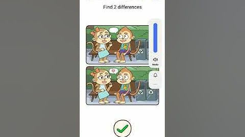 Brain Find level 29 Find 2 differences Gameplay Walkthroug Solution
