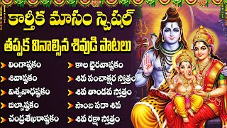 కార్తీక మాసంలో వినాల్సిన శివుని పాటలు | Karthika Masam Shiva Songs | Lingashtakam | Shiva Songs